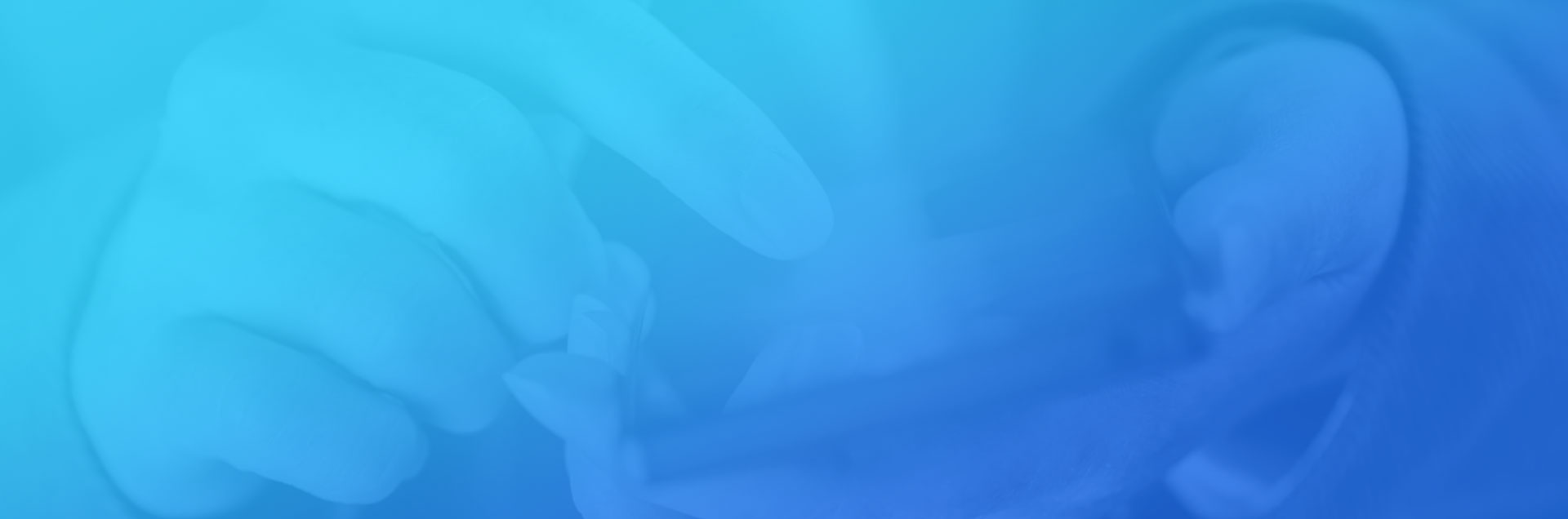 一網(wǎng)天行-網(wǎng)站建設|微信開發(fā)|小程序開發(fā)