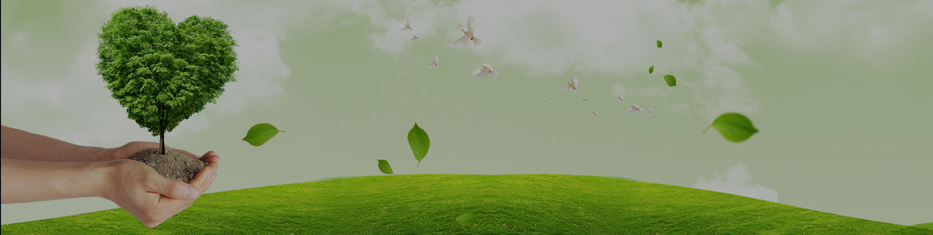 吉林天澤企業(yè)宣傳網(wǎng)站|一網(wǎng)天行-網(wǎng)站建設(shè)小程序APP系統(tǒng)軟件開(kāi)發(fā)公司