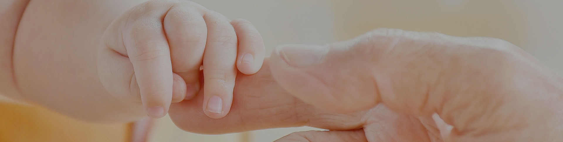 寶拾貳-兒童用品電商平臺(tái)|一網(wǎng)天行-網(wǎng)站建設(shè)小程序APP系統(tǒng)軟件開發(fā)公司